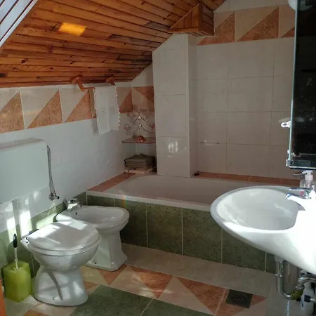 House David * Lubiana