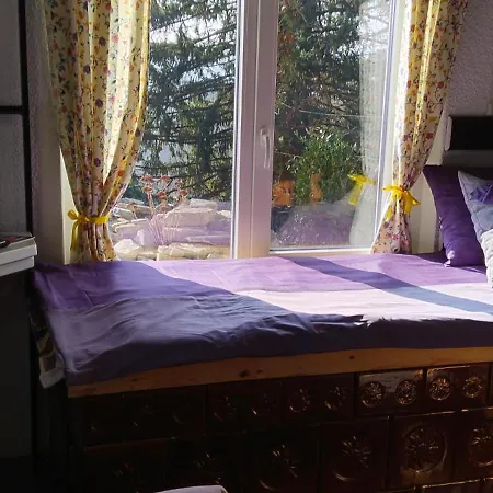 House David 卢布尔雅那