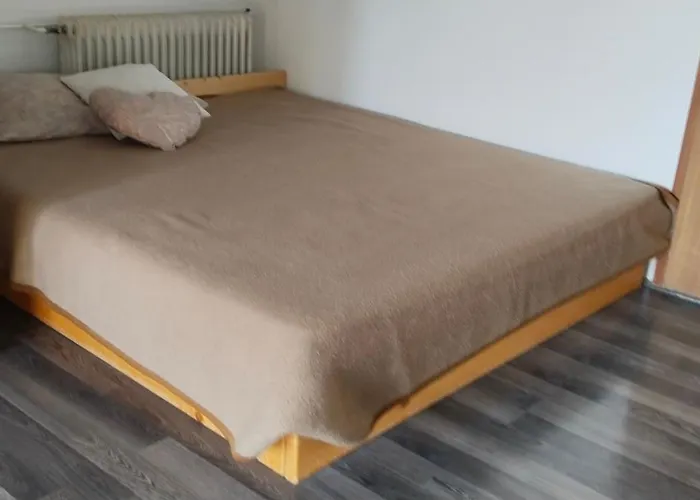 House David * Ljubljana