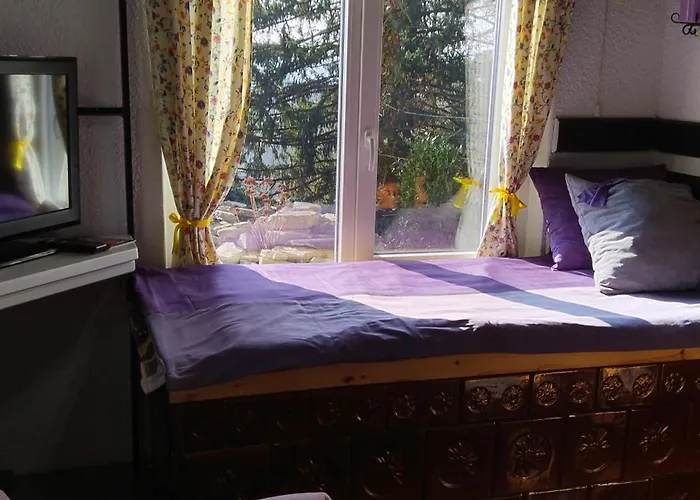 House David 류블랴나