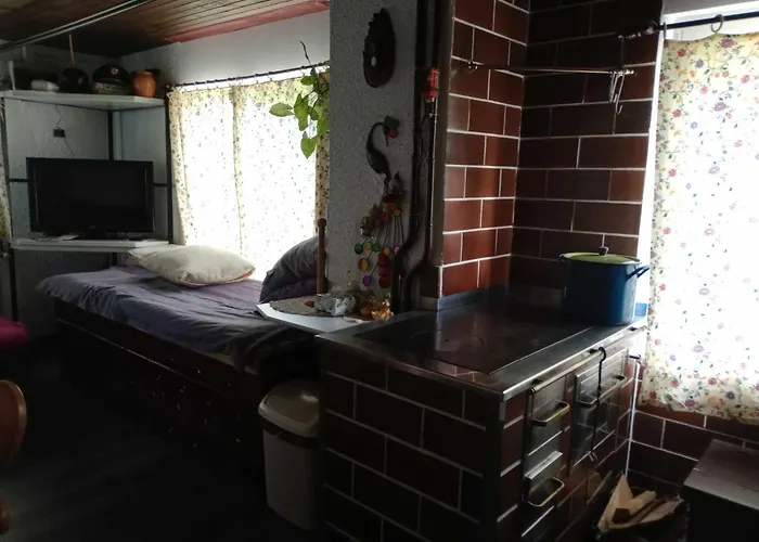 Hébergement de vacances House David Ljubljana