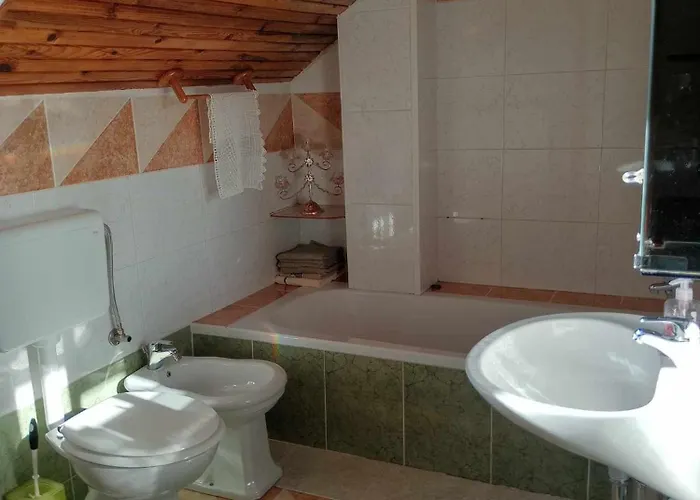 House David * 류블랴나